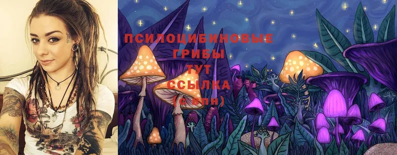 Псилоцибиновые грибы Magic Shrooms  Магадан 